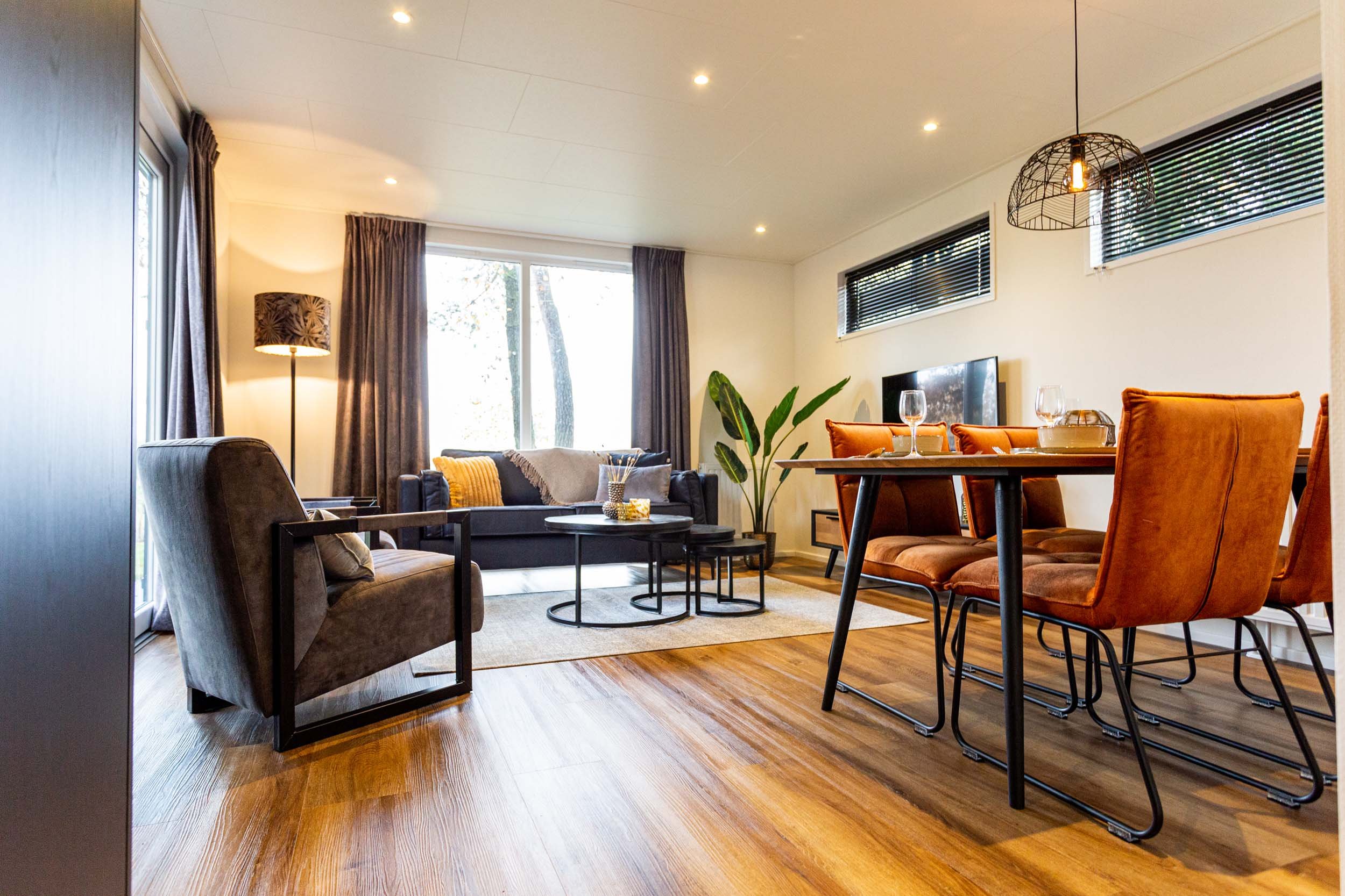 Bospark Ede - Module 4 personen - 642 - Interieur - Woonkamer - 1
