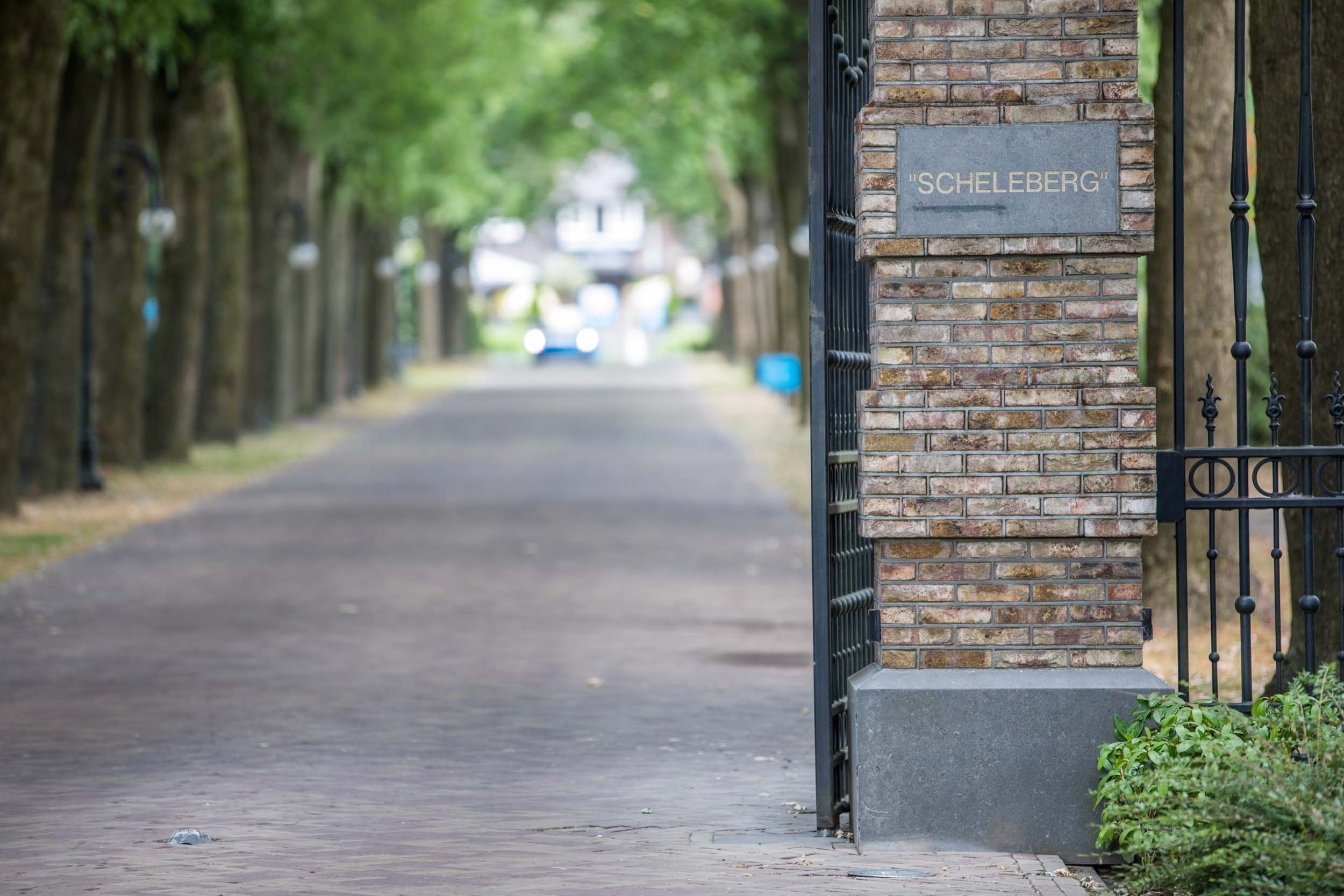 Landgoed de Scheleberg - ©Jurrit - Oprijlaan - Entree - 1