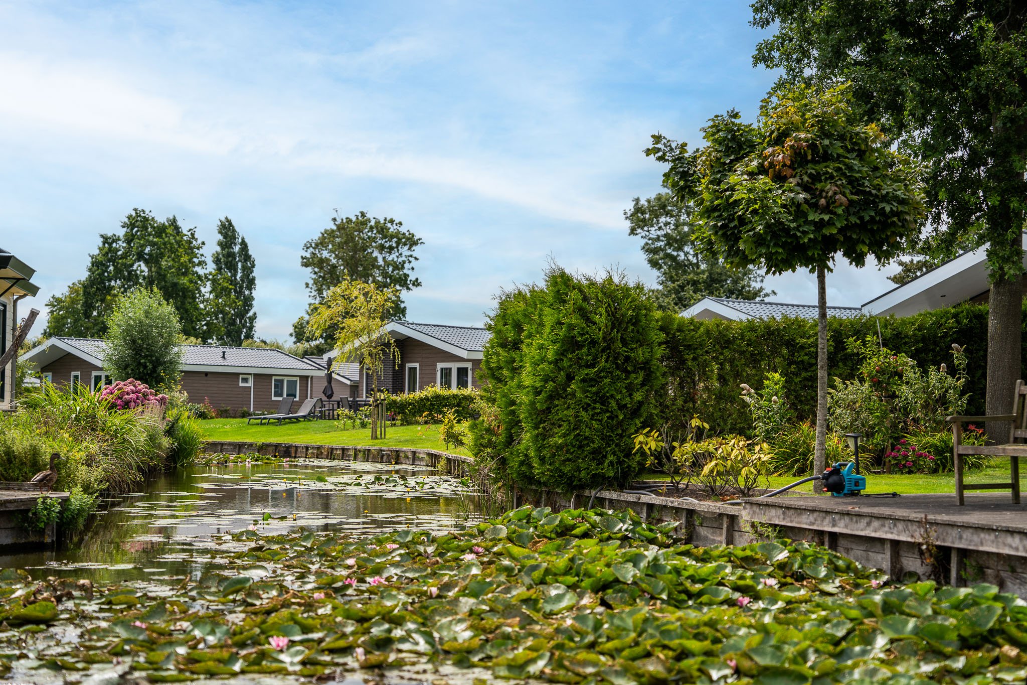 Park Westerkogge - Sfeerimpressie - 12