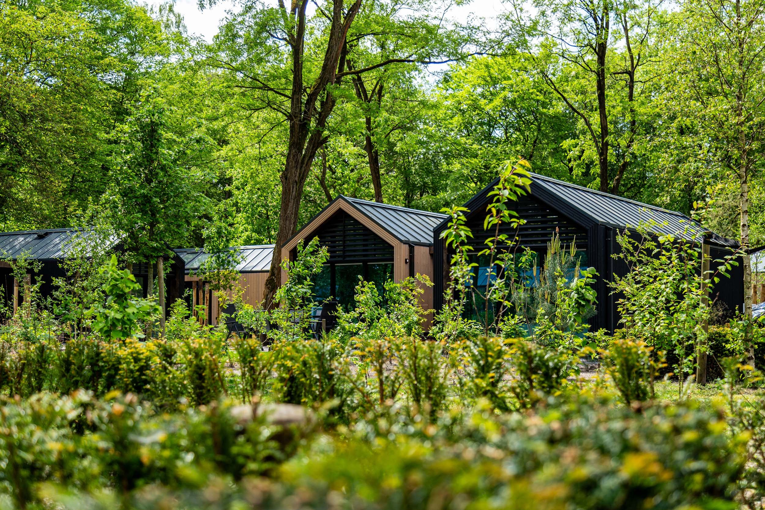 Residence Lage Vuursche - Vakantiewoningen - Lodge Royal Eco - 14