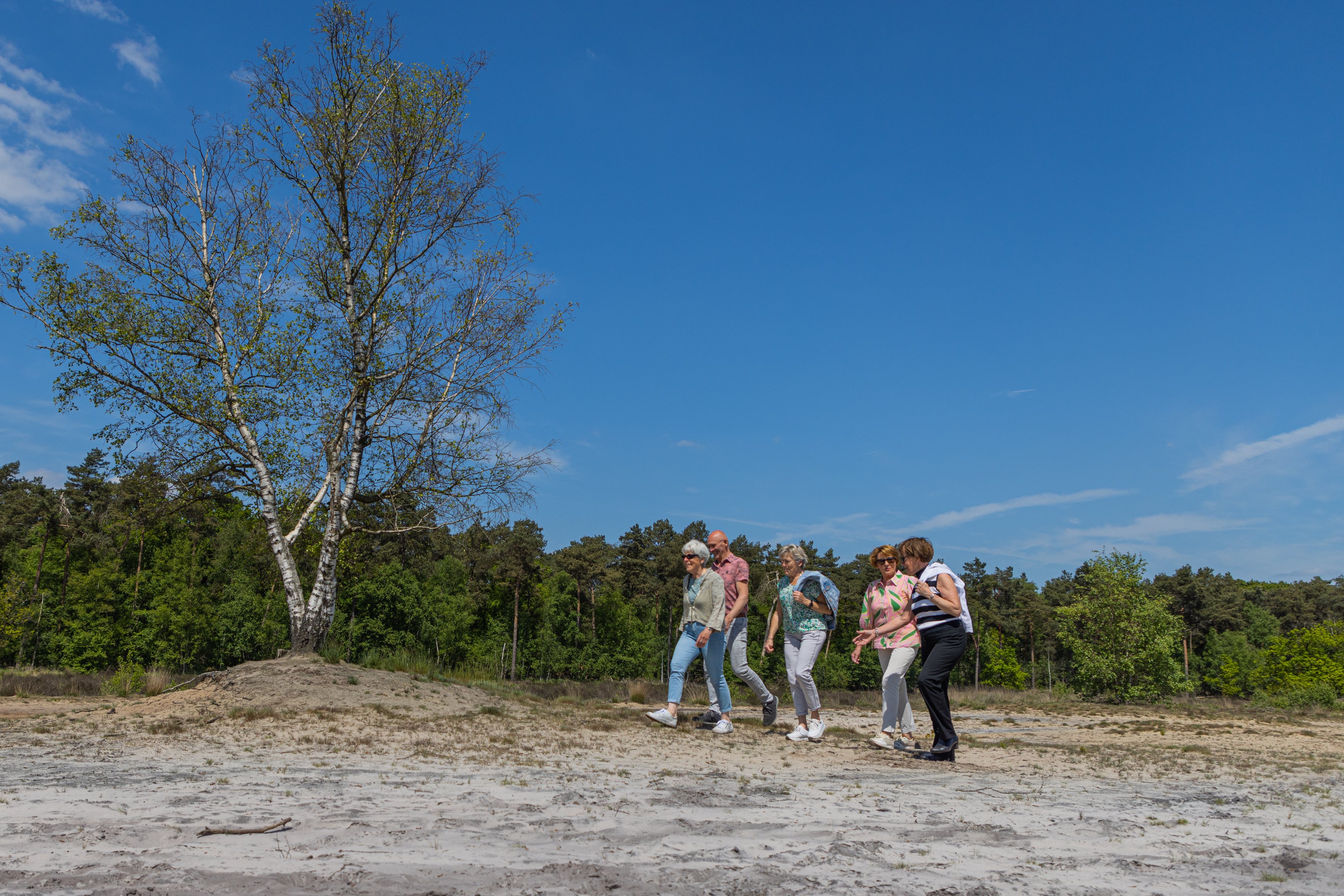 Tweede vakantiepark in Noord-Brabant overgenomen door TopParken